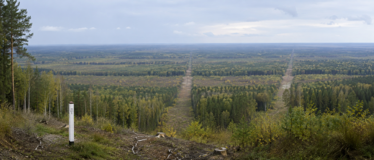 лесная просека в Лосином острове